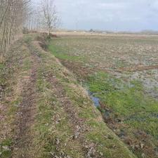 زمین کشاورزی 2,005 متری