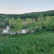 هزار و پانصد متر باغ واقع در ساری، روستای دروار