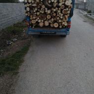 خرید وفروش چوب توباغی صنور،اکالیپتوس،انجیر،مرکبات،سیاه ریشه