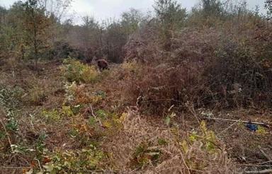 زمین 335متری در اکبرسرا مناسب سرمایه گذاری