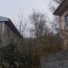 زمین 196 متری تمام مسکونی سوستان