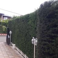 باغبانی.محوطه سازی ویلا کاشت نهال خاک کود و...