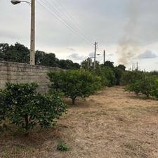 فروش زمین 175 متری سنددار جاده دریاکنار