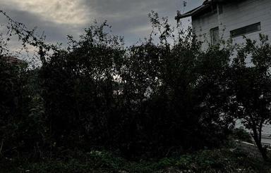 زمین مسکونی 258 متر در سعدی