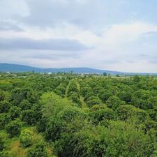 زمین بامجوز ساخت در روستای شکتا