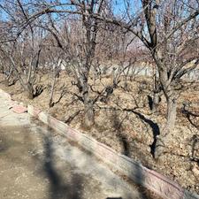 فروش زمین مسکونی 200 متر در شهریار