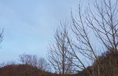 زمین 215 متری مسکونی/ویو 360 درجه/سند دار