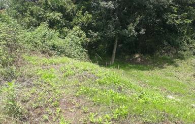 زمین مسکونی 415 متر در بیجارگاه علیا