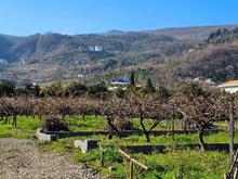 فروش 200 متر زمین کوهپایه ای دارای چشم انداز در شهسوار در شیپور