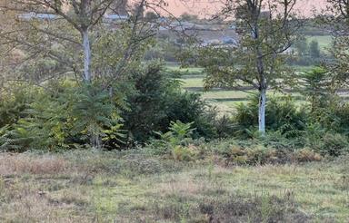 کد 345+ اقساطی زمین 390 متر در واسکس