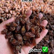 کشمش آفتابی