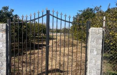 زمین کشاورزی 150 متر در مرکز شهر