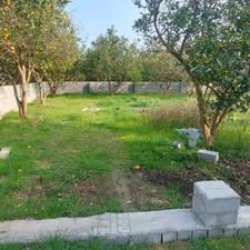 فروش باغ 900 متری روستای فولادکلا