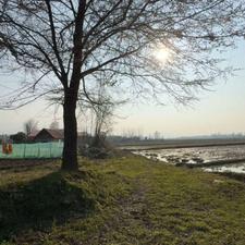 زمین کشاورزی 3000 متری بر آسفالت در تموشل لاهیجان