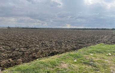 فروش زمین کشاورزی 11000 متر در نجارکلا جدید