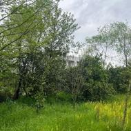 فروش زمین 286 متری با کاربری باغات در عباس آباد