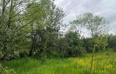 فروش زمین 286 متری با کاربری باغات در عباس آباد