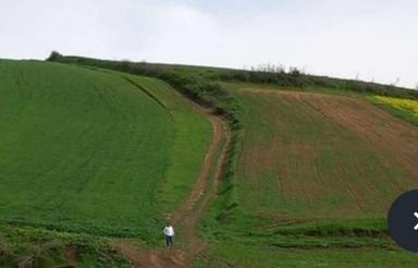 فروش زمین مسکونی 80 متر در آزادشهر