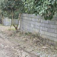زمین کشاورزی 400 متر در اوجی تالار