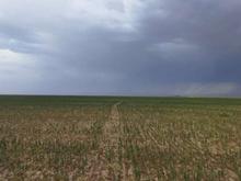 24 هکتار بر جاده الله آباد در شیپور