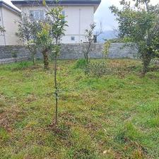 فروش زمین مسکونی 200 متر در سیاورز