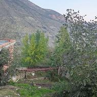 فروش زمینواقعدرپلسفیدروستای لَله بند بالا
