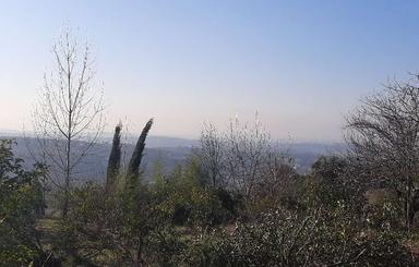 فروش زمین کشاورزی 4000 متر در وسطی کلا