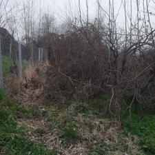 216 متر زمین باغی مناسب کلبه در کتشال لاهیجان