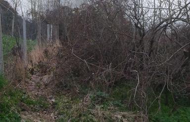 216 متر زمین باغی مناسب کلبه در کتشال لاهیجان