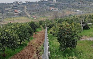 فروش زمین کشاورزی 357 متر در دارد کاشت