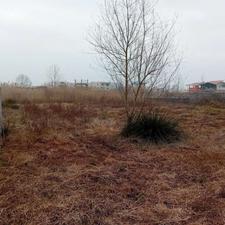 250متر زمین سرمایه گذاری داخل طرح