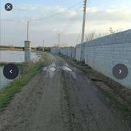 زمین کشاورزی 2500 متر در جاده کیاکلا