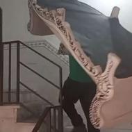 باربری حمل اثاث بوئین زهرا با کارگر