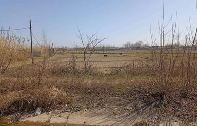 فروش زمین کشاورزی 3500 متر در رودپشت