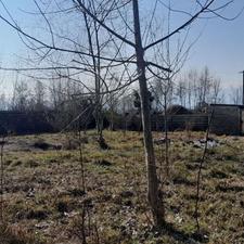 فروش زمین مسکونی 612 متر صومعهسرا جاده ماسال