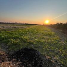 فروش زمین کشاورزی 1330 متر در مرکز شهر