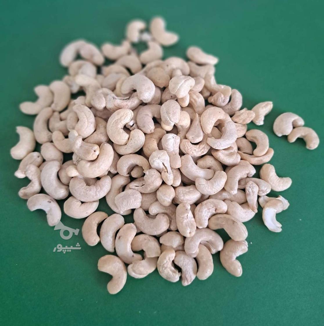 بادام هندی و درختی قیمت عمده
