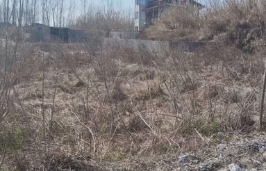 فروش زمین باغی 3000 متر در بیشه کلا