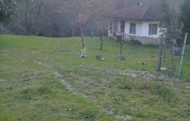 1,260 متری در جاده فومن-ماسوله