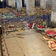 فروش مرغداری 6000 متر در واکی کلا
