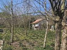 فروش زمین مسکونی 500متری عطر باغ شکوفه ها در شیپور