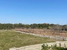 فروش زمین کشاورزی 233 متر در مزرک در شیپور