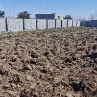 تمیز کردن باغ وباغچه وکاشت درخت وگل وگیاهان زینتی