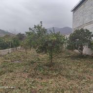 فروش زمین 245 متر در چلاسر