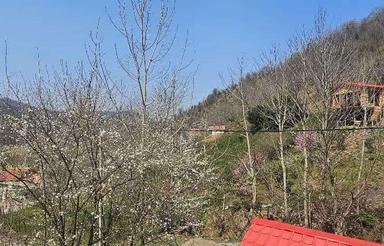 فروش ویلا 320 متری/خانه ای به وسعت آرامش