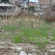 فروش زمین مسکونی 238 متر در مرکز شهر