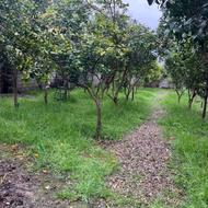 فروش ویلا 550 متری دارای سند در قائم شهر جاده کیاکلا