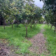 فروش ویلا 550 متری دارای سند در قائم شهر جاده کیاکلا