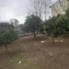 زمین با کاربری مسکونی 300متری در جاده بهنمیر