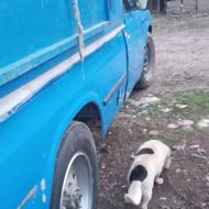 نیسان دوگانه شرکتی مدل 86